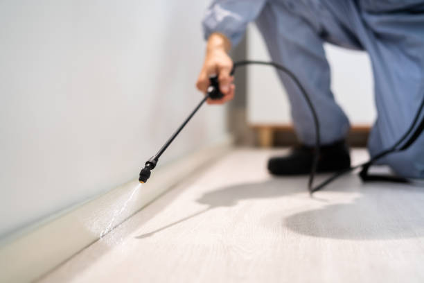 Licensed Cockroach Control service in Johnson City, TX - Nex Pest Control