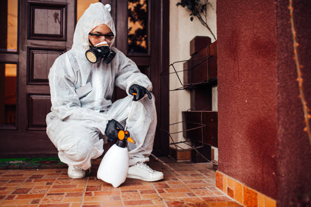 Reliable Cockroach Control contractor in Johnson City, TX by Nex Pest Control